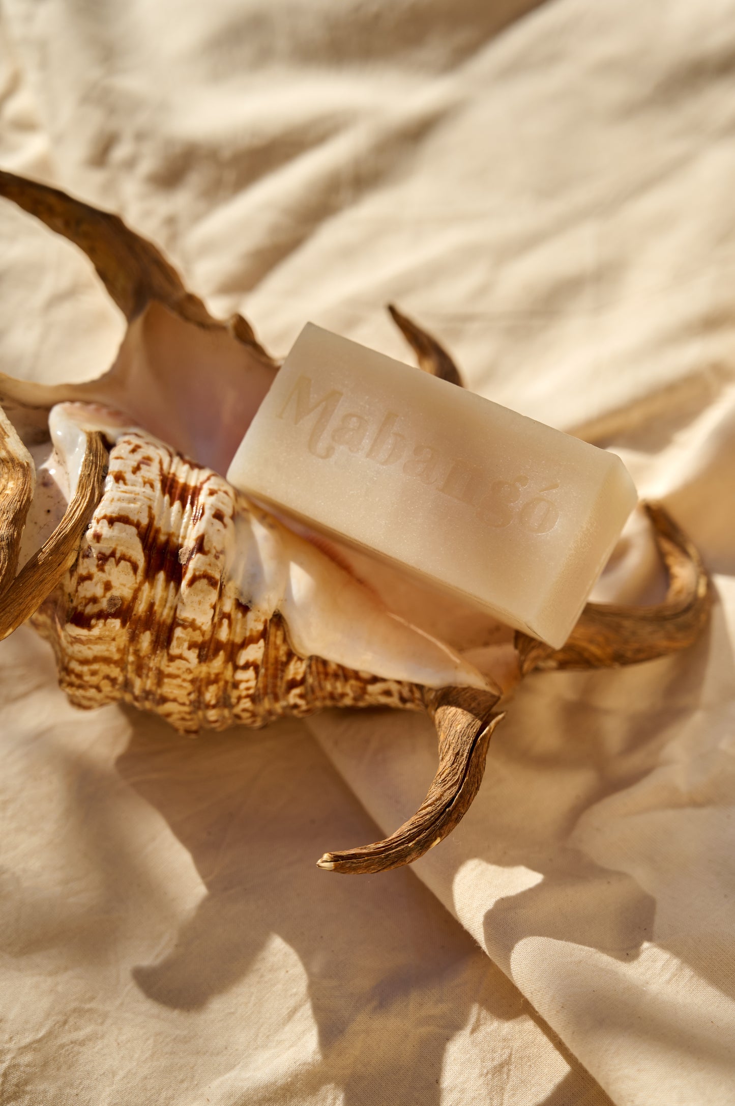 Savon à lessive en barre